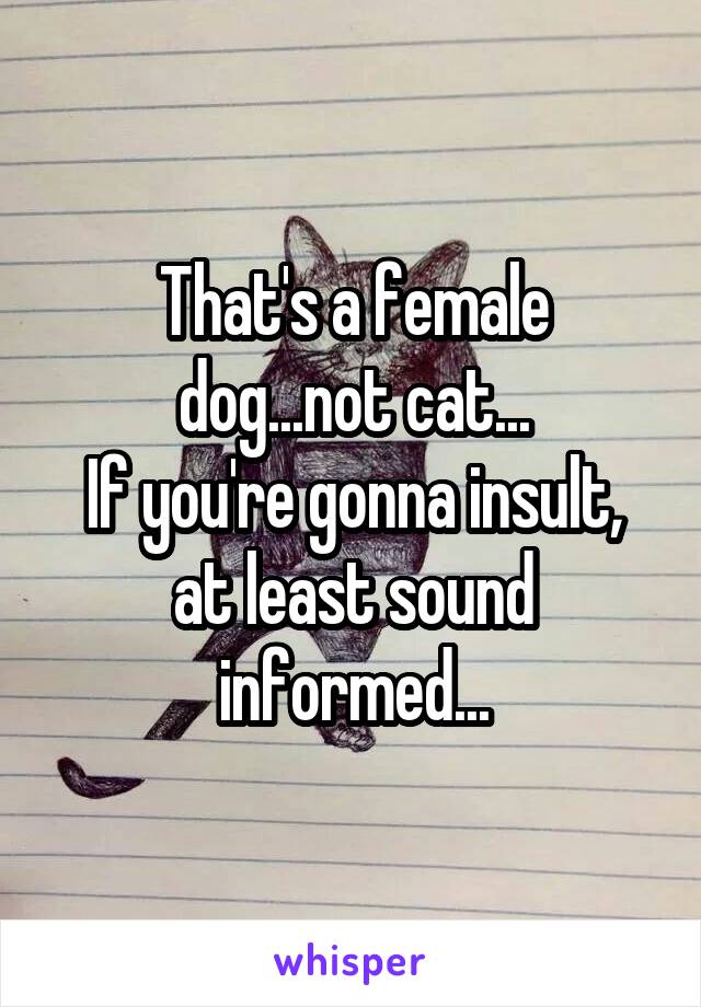 That's a female dog...not cat...
If you're gonna insult, at least sound informed...