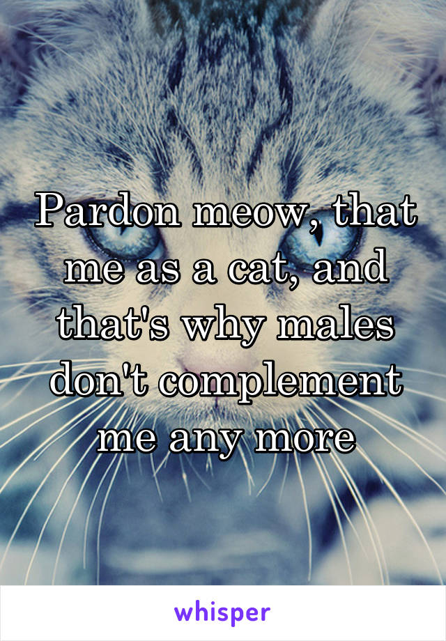 Pardon meow, that me as a cat, and that's why males don't complement me any more