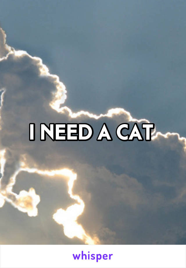 I NEED A CAT 