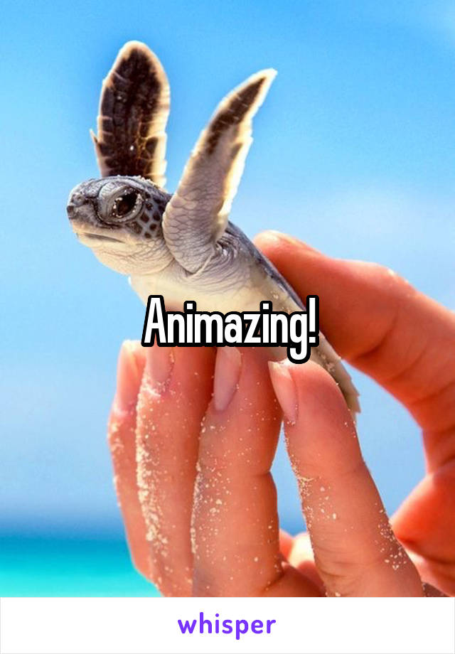 Animazing!