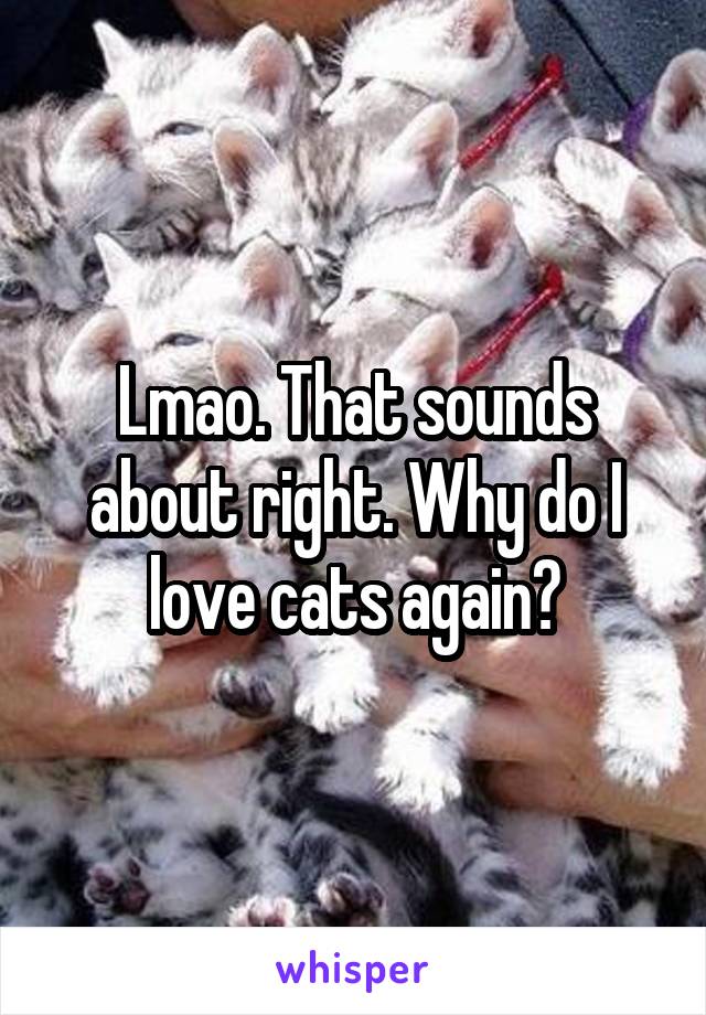 Lmao. That sounds about right. Why do I love cats again?