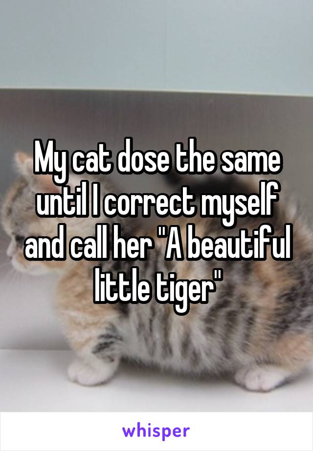 My cat dose the same until I correct myself and call her "A beautiful little tiger"