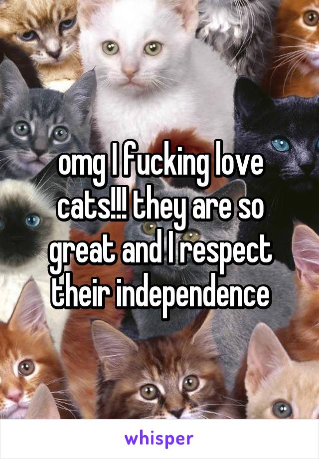 omg I fucking love cats!!! they are so great and I respect their independence