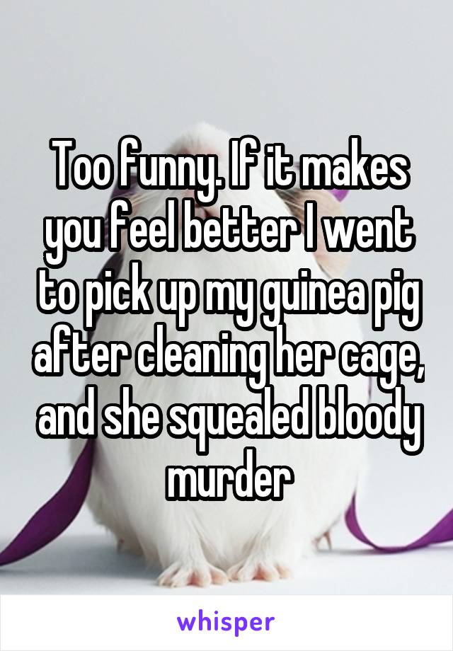 Too funny. If it makes you feel better I went to pick up my guinea pig after cleaning her cage, and she squealed bloody murder