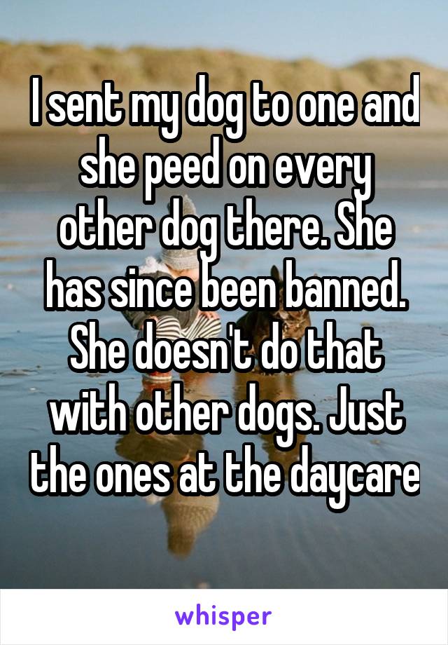 I sent my dog to one and she peed on every other dog there. She has since been banned. She doesn't do that with other dogs. Just the ones at the daycare 