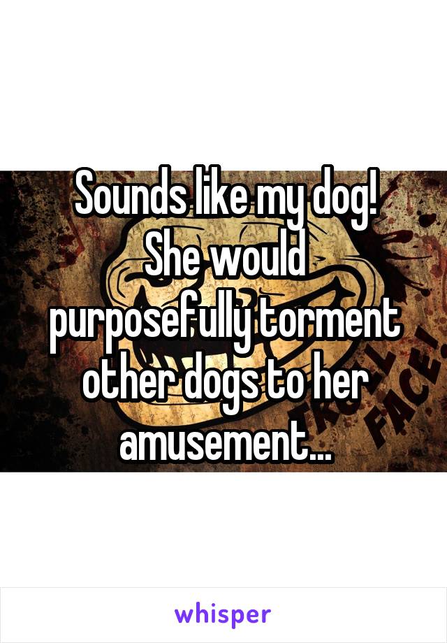 Sounds like my dog!
She would purposefully torment other dogs to her amusement...