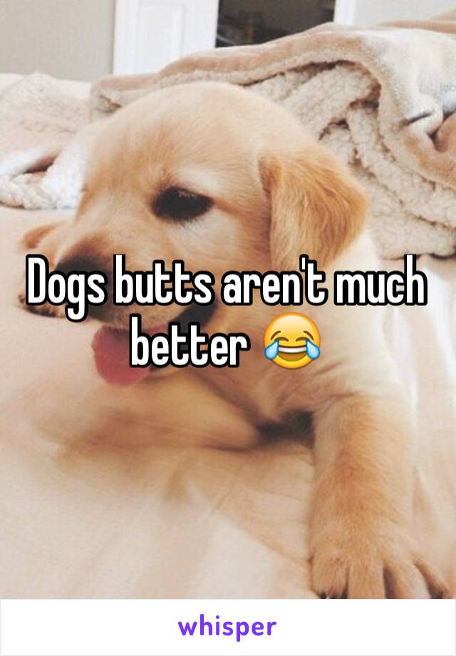 Dogs butts aren't much better 😂