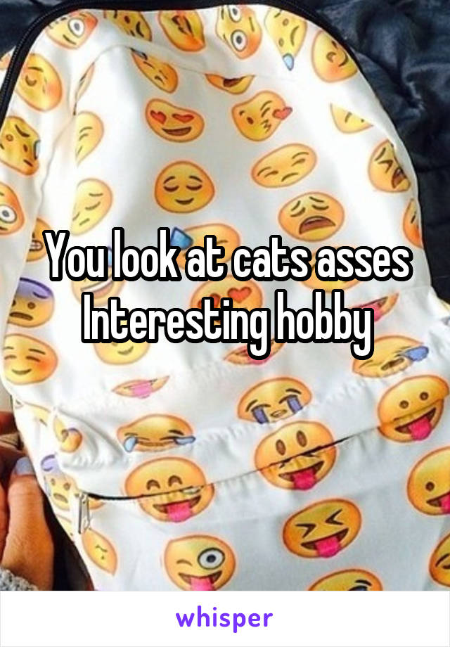 You look at cats asses
Interesting hobby
