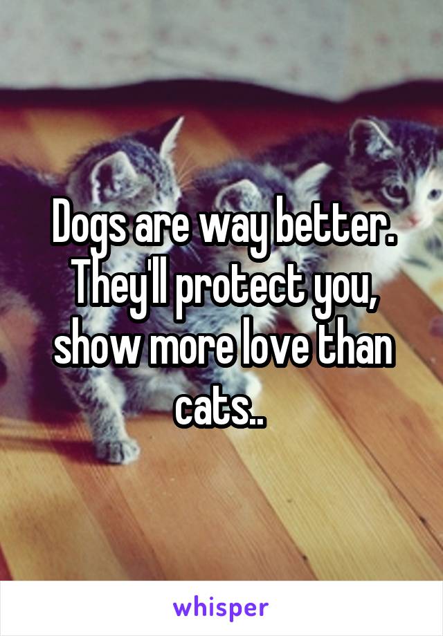 Dogs are way better. They'll protect you, show more love than cats.. 