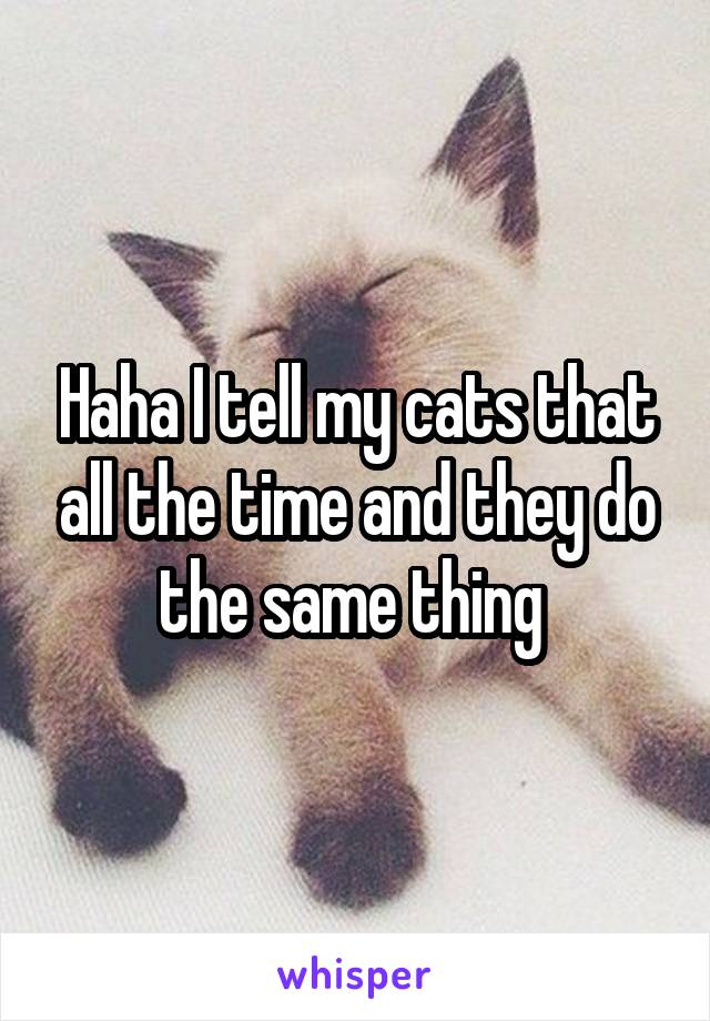 Haha I tell my cats that all the time and they do the same thing 