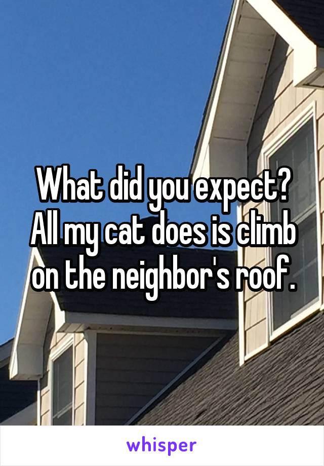 What did you expect? All my cat does is climb on the neighbor's roof.