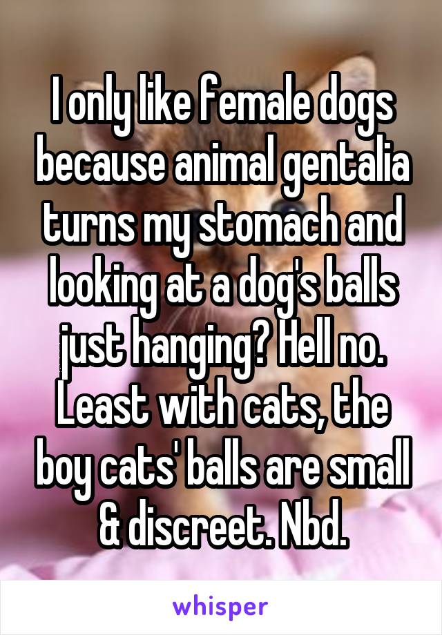 I only like female dogs because animal gentalia turns my stomach and looking at a dog's balls just hanging? Hell no. Least with cats, the boy cats' balls are small & discreet. Nbd.