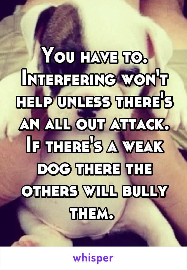 You have to. Interfering won't help unless there's an all out attack. If there's a weak dog there the others will bully them. 