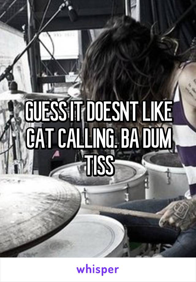 GUESS IT DOESNT LIKE CAT CALLING. BA DUM TISS