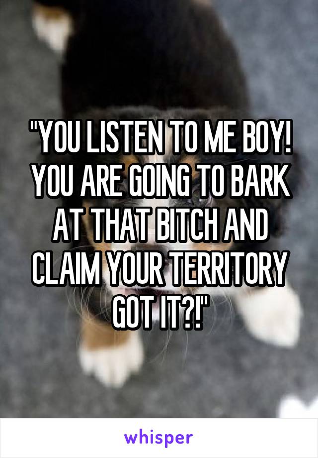 "YOU LISTEN TO ME BOY! YOU ARE GOING TO BARK AT THAT BITCH AND CLAIM YOUR TERRITORY GOT IT?!"