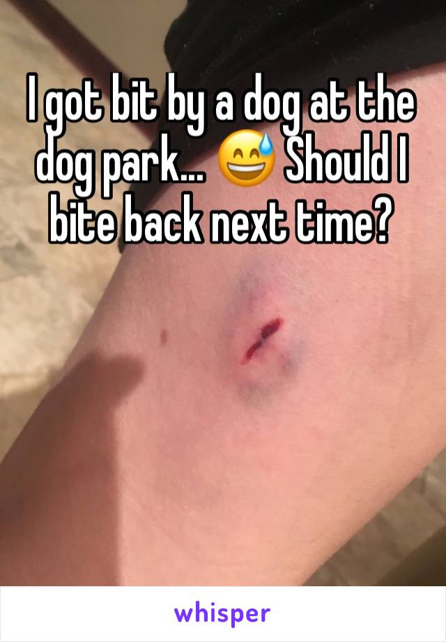 I got bit by a dog at the dog park... 😅 Should I bite back next time?




