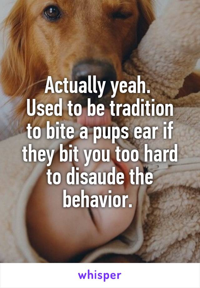 Actually yeah. 
Used to be tradition to bite a pups ear if they bit you too hard to disaude the behavior. 