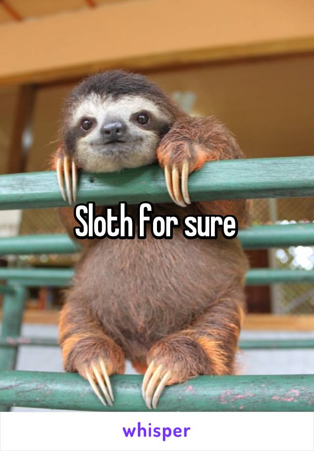 Sloth for sure 