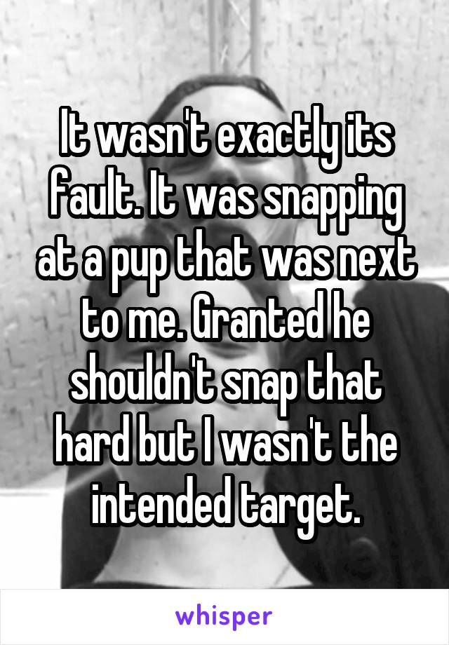 It wasn't exactly its fault. It was snapping at a pup that was next to me. Granted he shouldn't snap that hard but I wasn't the intended target.