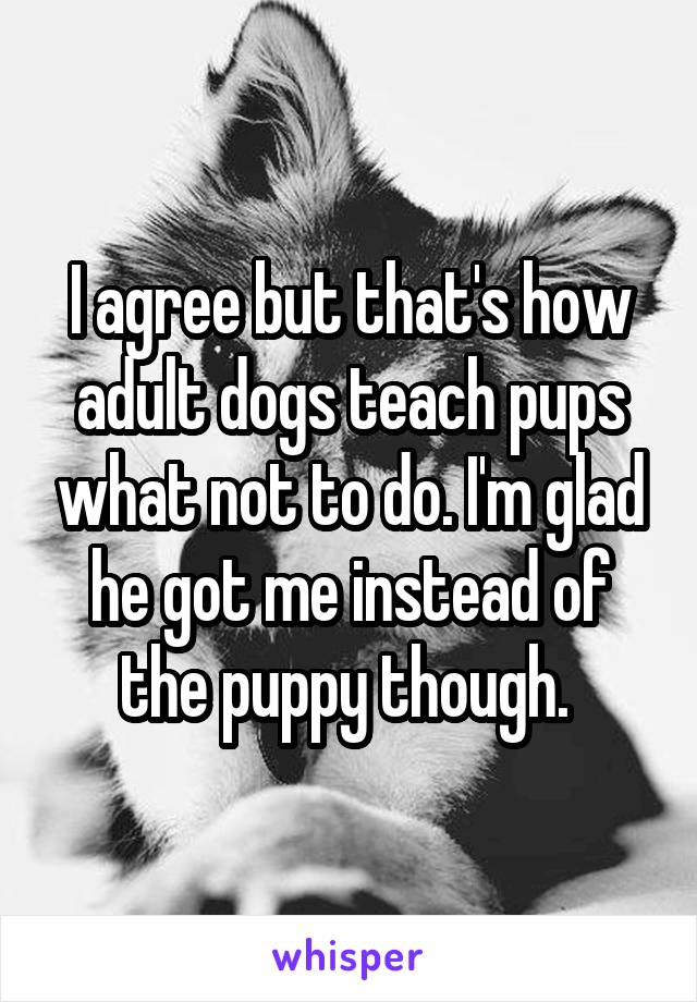 I agree but that's how adult dogs teach pups what not to do. I'm glad he got me instead of the puppy though. 