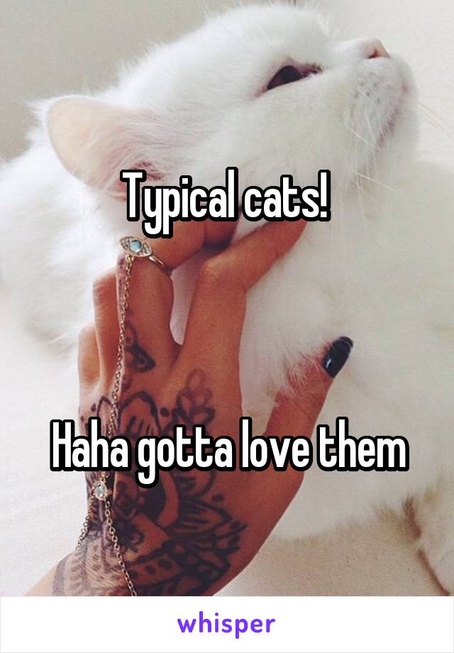 Typical cats! 



Haha gotta love them