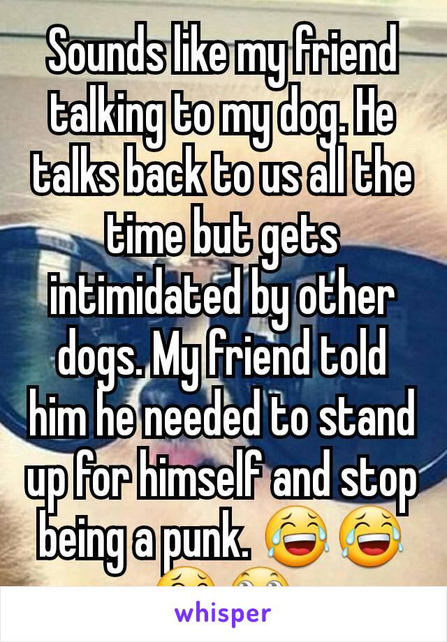 Sounds like my friend talking to my dog. He talks back to us all the time but gets intimidated by other dogs. My friend told him he needed to stand up for himself and stop being a punk. 😂😂😂🙄