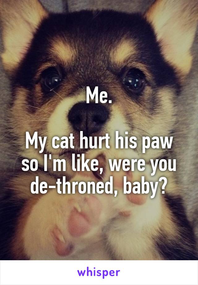 Me.

My cat hurt his paw so I'm like, were you de-throned, baby?