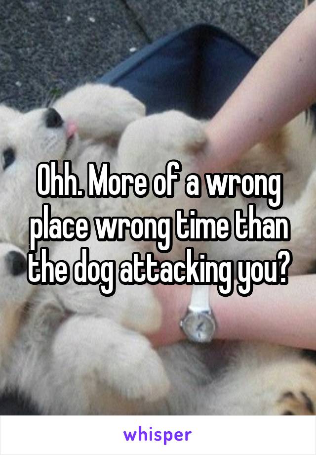 Ohh. More of a wrong place wrong time than the dog attacking you?