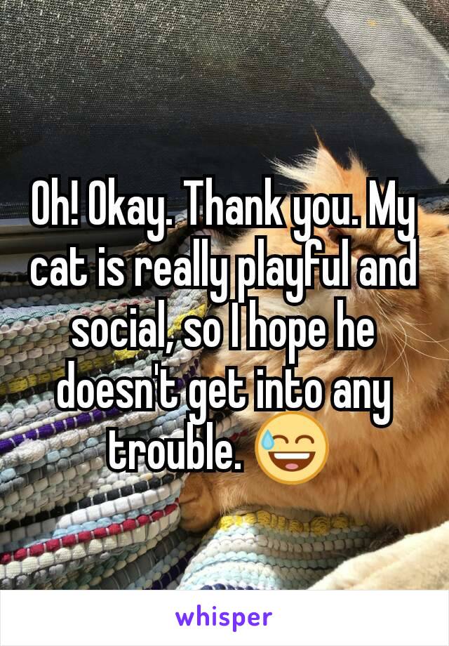 Oh! Okay. Thank you. My cat is really playful and social, so I hope he doesn't get into any trouble. 😅 