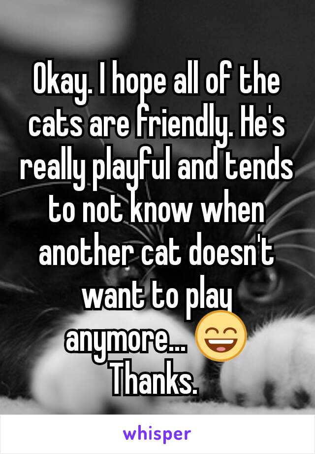 Okay. I hope all of the cats are friendly. He's really playful and tends to not know when another cat doesn't want to play anymore... 😄 Thanks. 