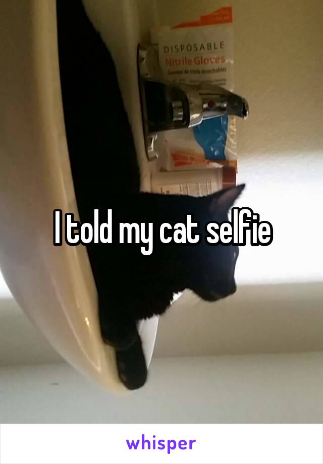 I told my cat selfie