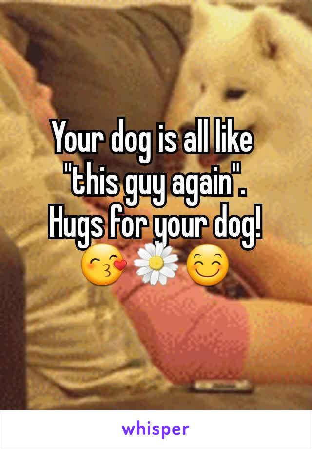 Your dog is all like 
"this guy again".
Hugs for your dog!
😙🌼😊