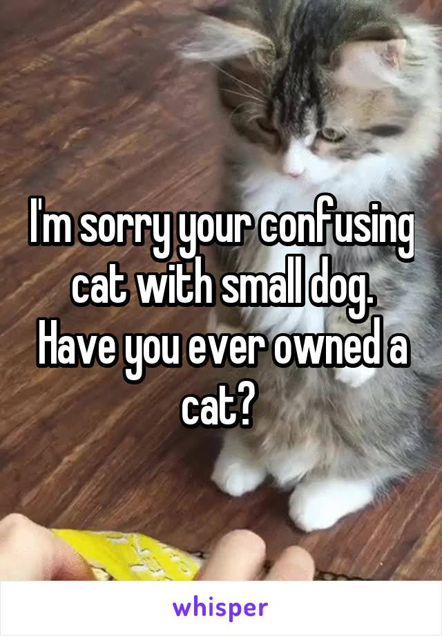 I'm sorry your confusing cat with small dog. Have you ever owned a cat? 