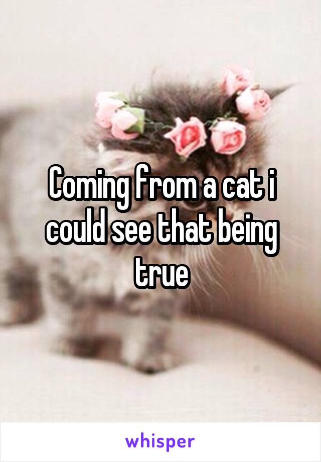 Coming from a cat i could see that being true