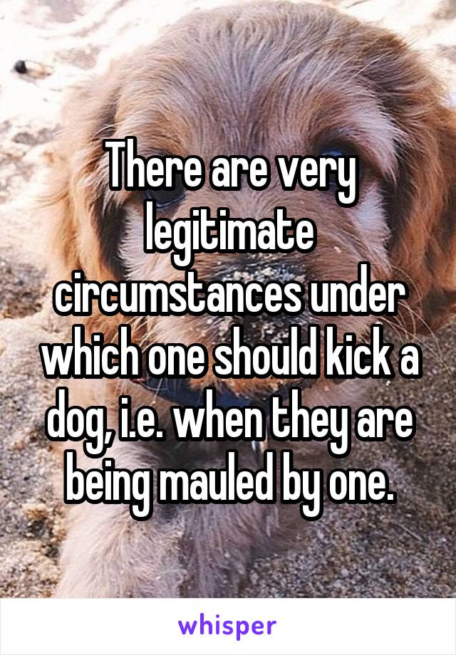 There are very legitimate circumstances under which one should kick a dog, i.e. when they are being mauled by one.