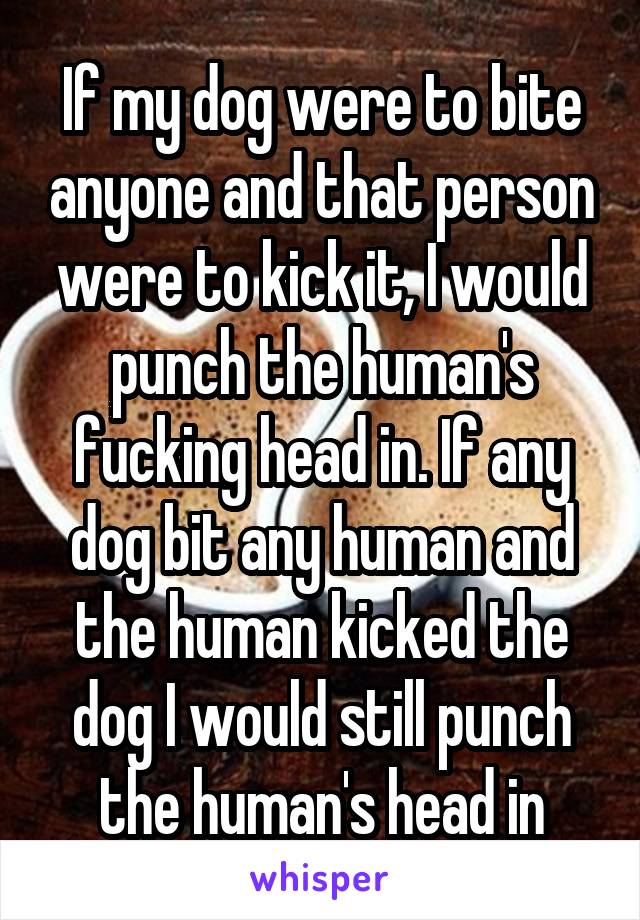 If my dog were to bite anyone and that person were to kick it, I would punch the human's fucking head in. If any dog bit any human and the human kicked the dog I would still punch the human's head in