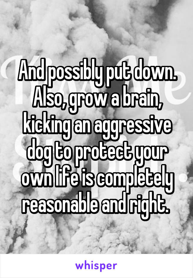 And possibly put down. Also, grow a brain, kicking an aggressive dog to protect your own life is completely reasonable and right. 