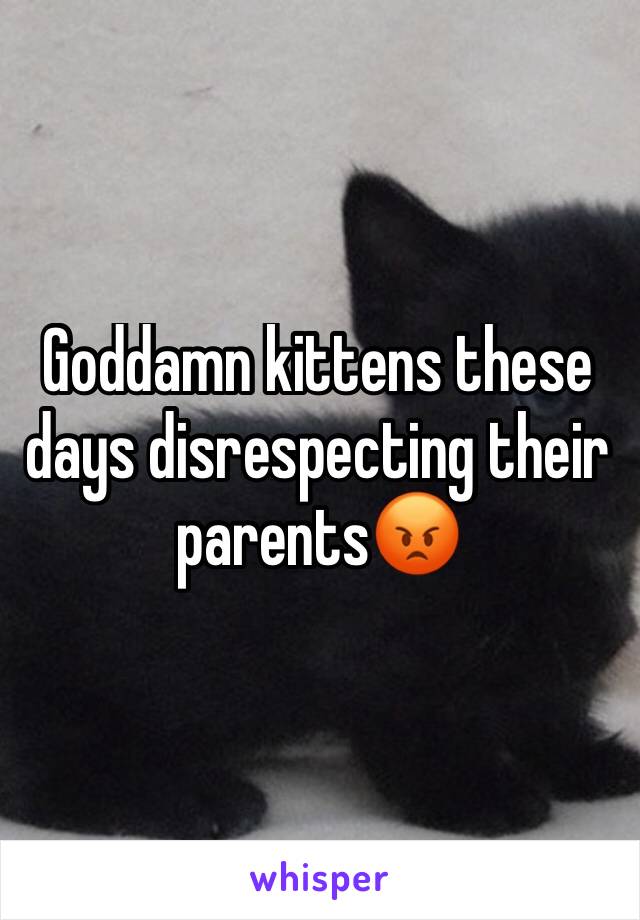 Goddamn kittens these days disrespecting their parents😡