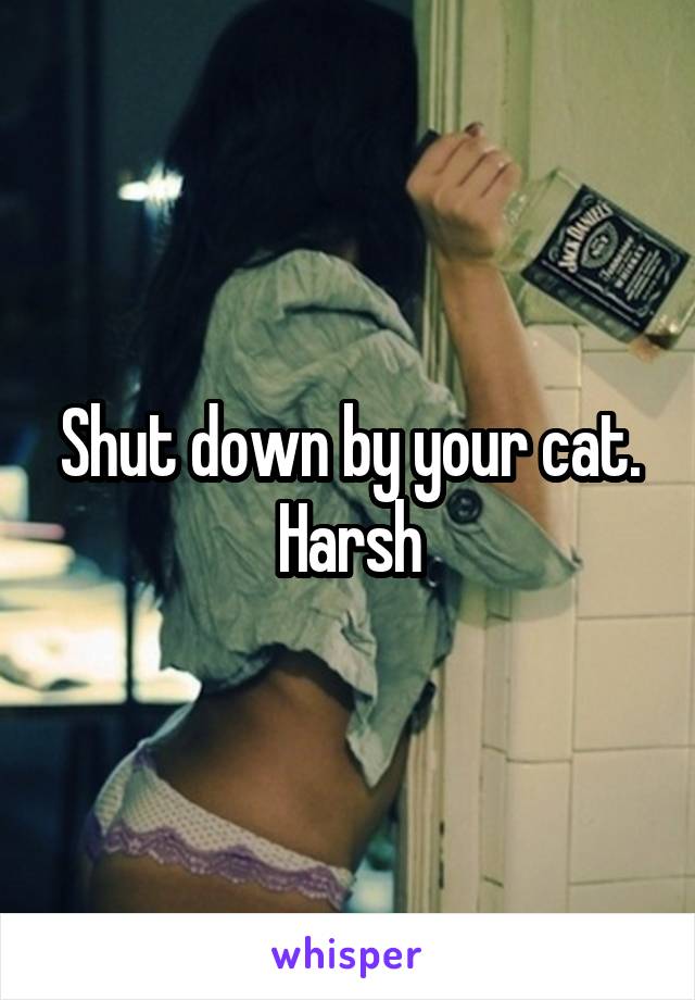 Shut down by your cat. Harsh