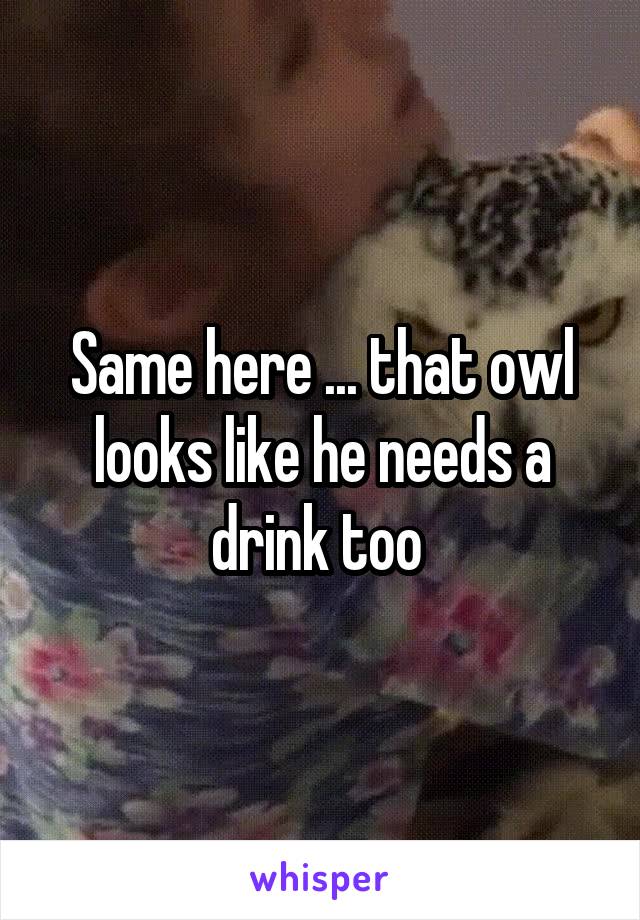 Same here ... that owl looks like he needs a drink too 