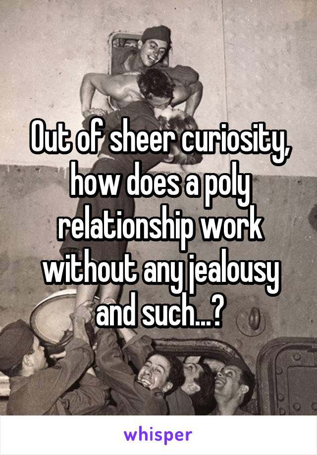 Out of sheer curiosity, how does a poly relationship work without any jealousy and such...?