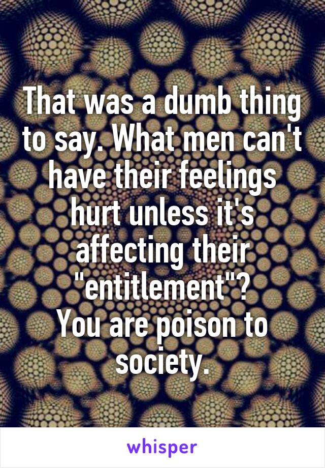 That was a dumb thing to say. What men can't have their feelings hurt unless it's affecting their "entitlement"?
You are poison to society.