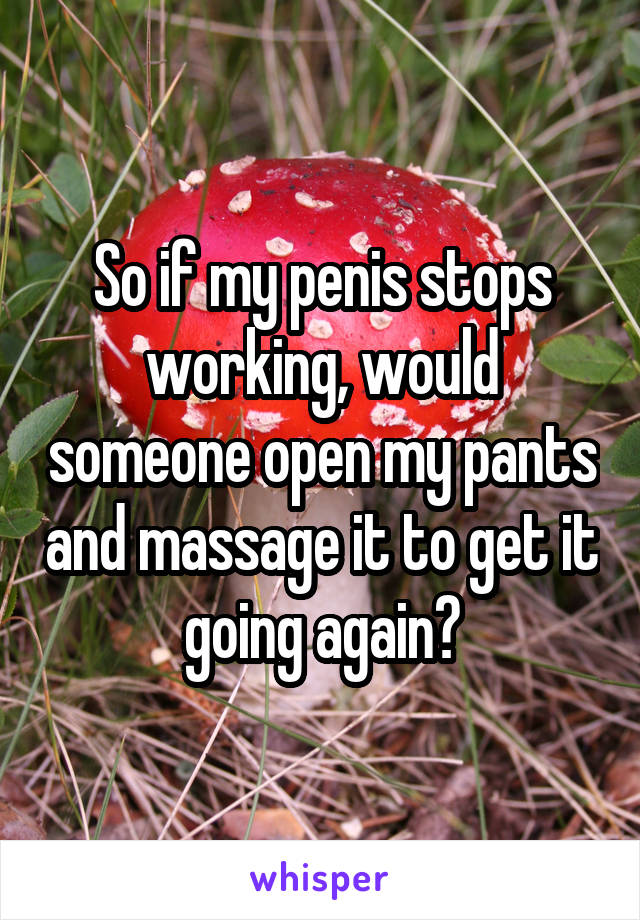 So if my penis stops working, would someone open my pants and massage it to get it going again?