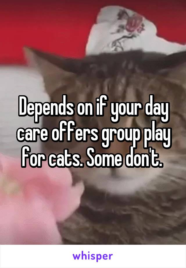 Depends on if your day care offers group play for cats. Some don't. 