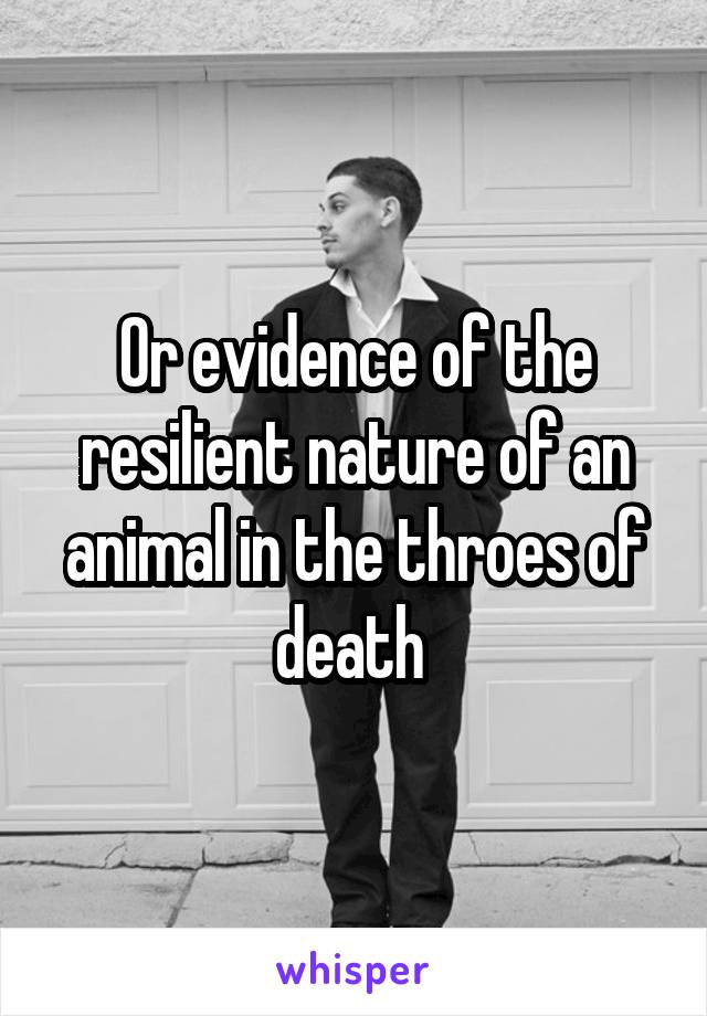 Or evidence of the resilient nature of an animal in the throes of death 