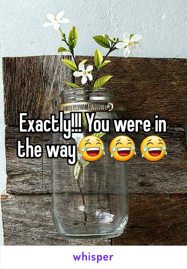 Exactly!!! You were in the way😂😂😂