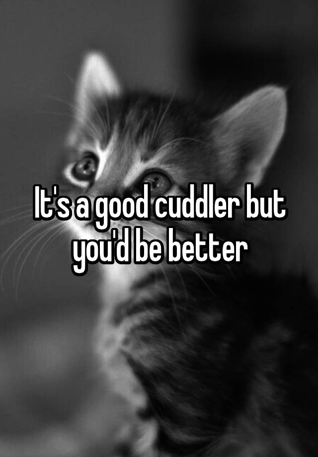 it-s-a-good-cuddler-but-you-d-be-better