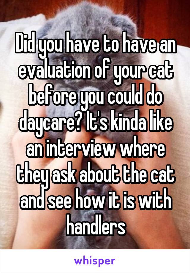 Did you have to have an evaluation of your cat before you could do daycare? It's kinda like an interview where they ask about the cat and see how it is with handlers