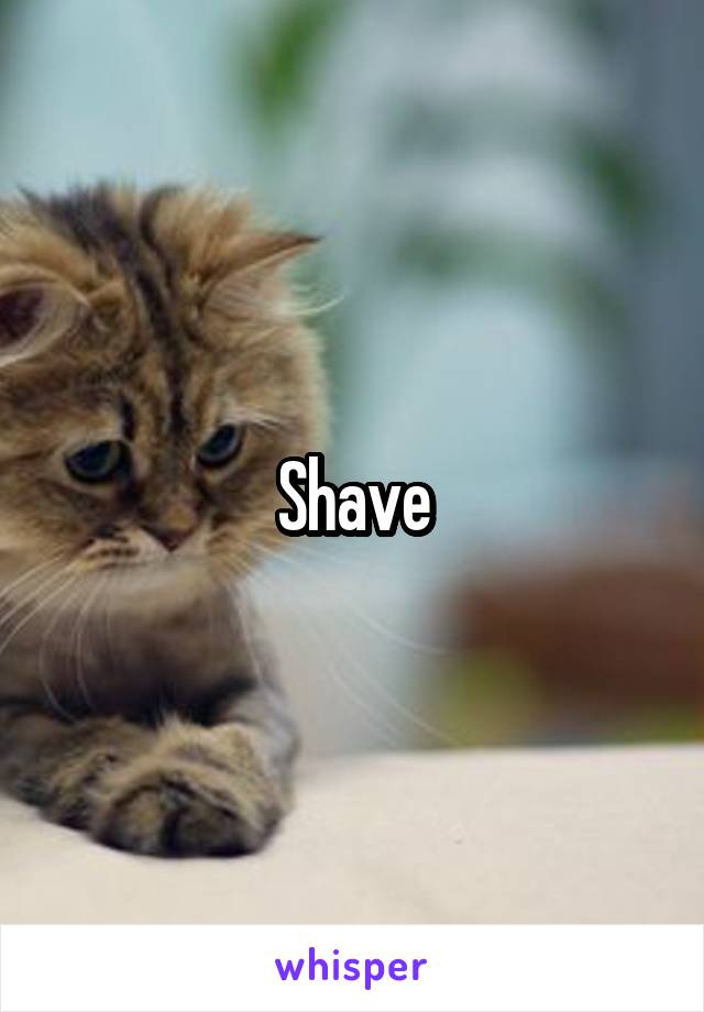 Shave