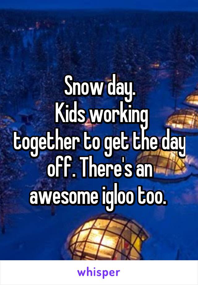 Snow day.
 Kids working together to get the day off. There's an awesome igloo too. 